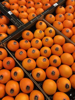 купить апельсины оптом