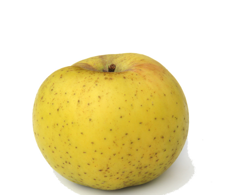 Яблука Belchard Shantecler® 1кг