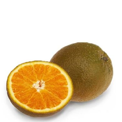 Апельсин «Шоколадний» 1кг
