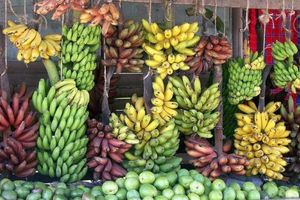 20 интересных фактов о бананах