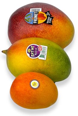 розміри манго