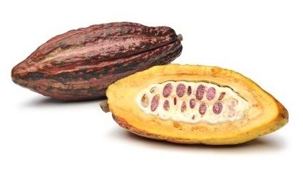 Какао фрукт 1ящ