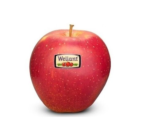 Яблука Wellant® 1кг